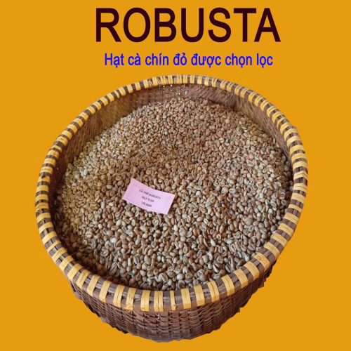 Ca Phe Robusta dang hat 1Kg 2