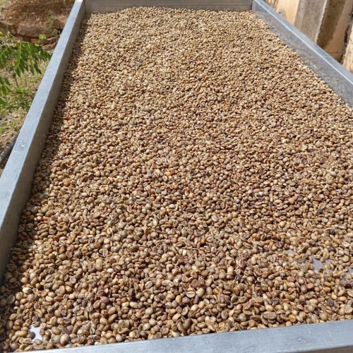 Ca Phe Robusta dang hat 1Kg 3
