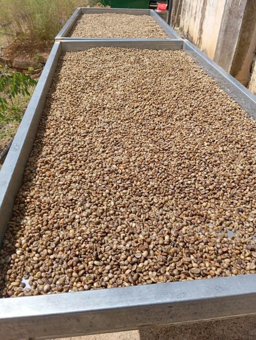 Ca Phe Robusta dang hat 1Kg 3
