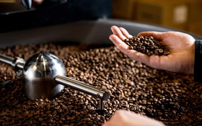 Robusta Xoay Ngay Tai Noi Rang – Huong Vi Dam Chat Viet